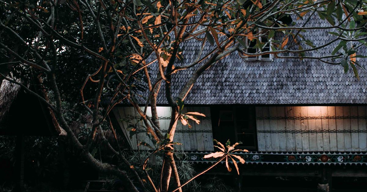 Área da piscina ao entardecer Piscina de quintal com espreguiçadeiras e plantas ao entardecer