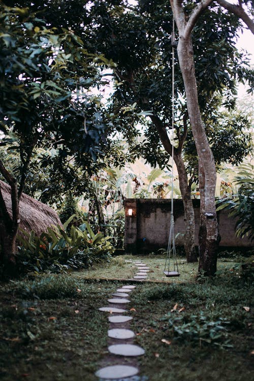 A Wooden Swing under the Tree