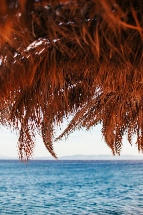 Sunshade out of Palm Leaves against Blue Sea