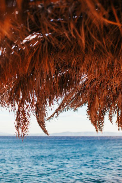 Free Peaceful tropical beach view with palm leaf sunshade and clear blue sea. Stock Photo