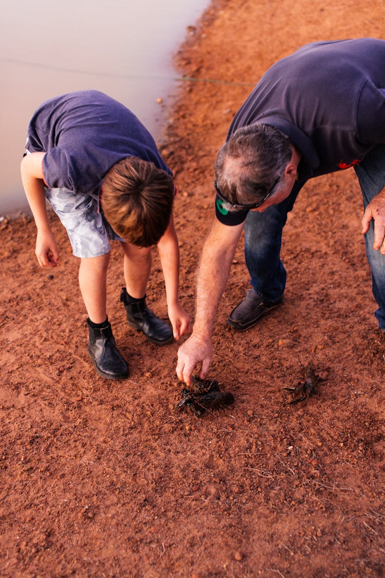 A Man And A Boy Touching An Animal On A Shore 