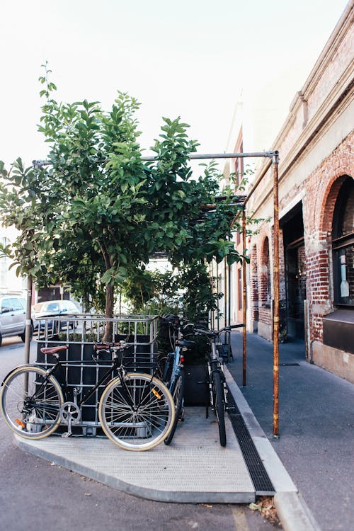 ağaç, arka sokak, bisikletler içeren Ücretsiz stok fotoğraf