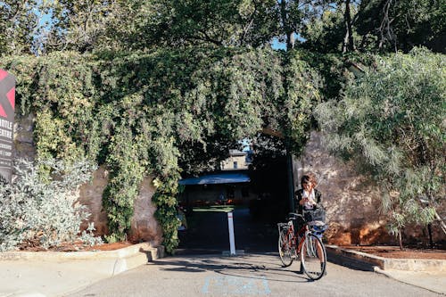 Gratis stockfoto met fabrieken, fiets, gebruik makend van