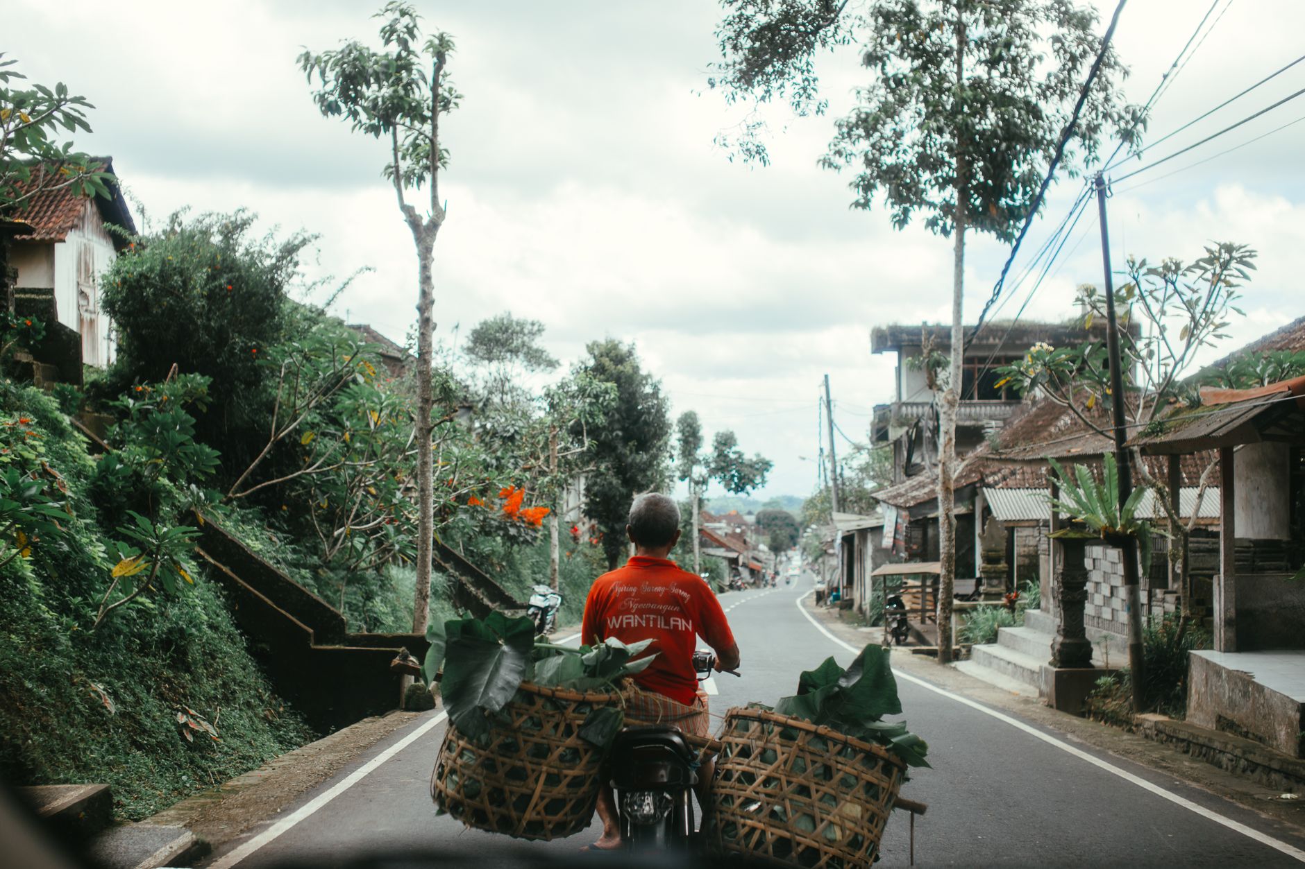 A man cycling through a scenic rural Southeast Asian road with baskets of foliage.