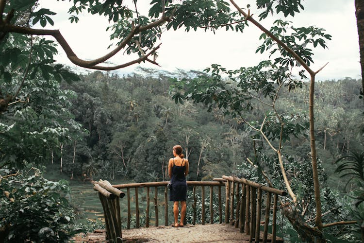 Woman In Black Dress Standing On Brown Wooden Viewing Deck