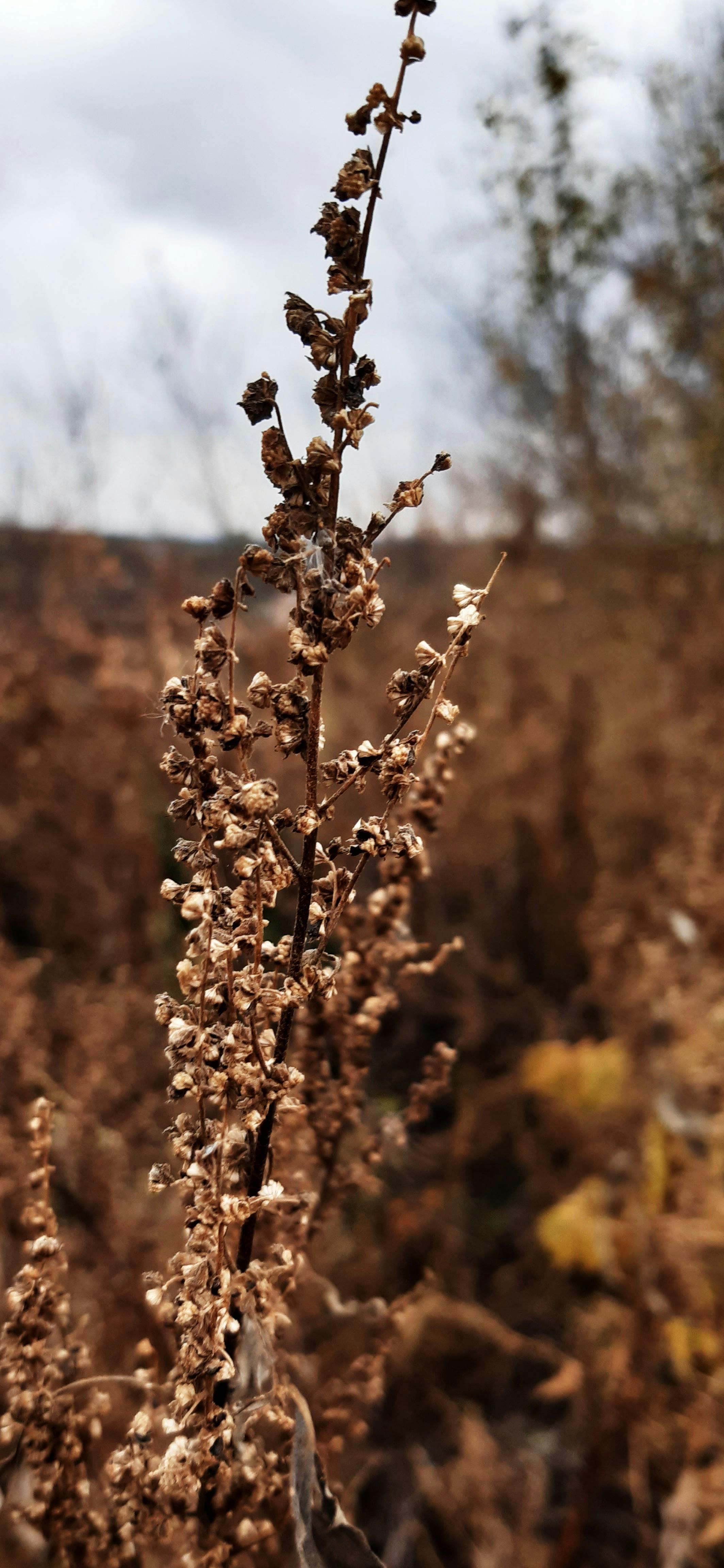 Vaso de Cerâmica Pintado à Mão - Imagem 2