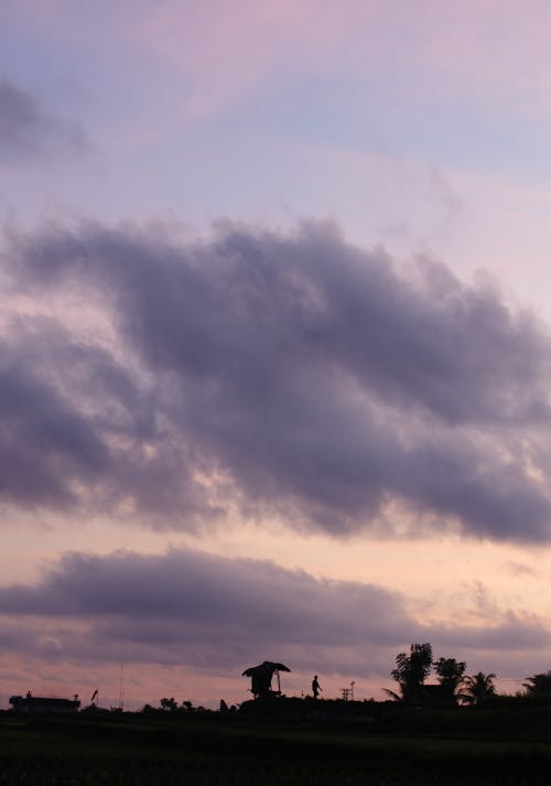 Agricultural Field Under Gray Clouds