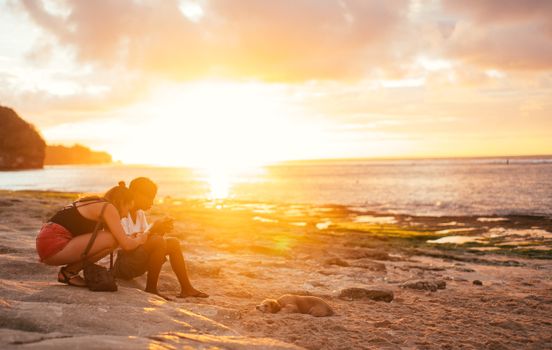 Two people sitting on a beach at sunset with a dog, creating a serene and warm atmosphere.
