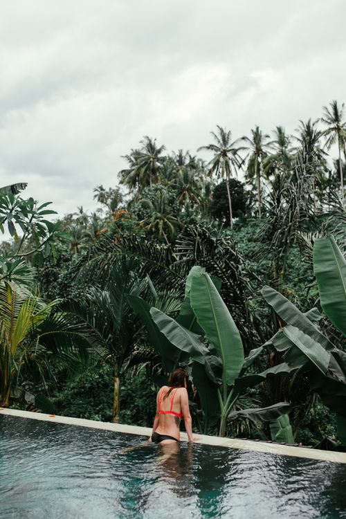 Free Woman in bikini relaxes in a jungle pool surrounded by lush tropical greenery. Stock Photo