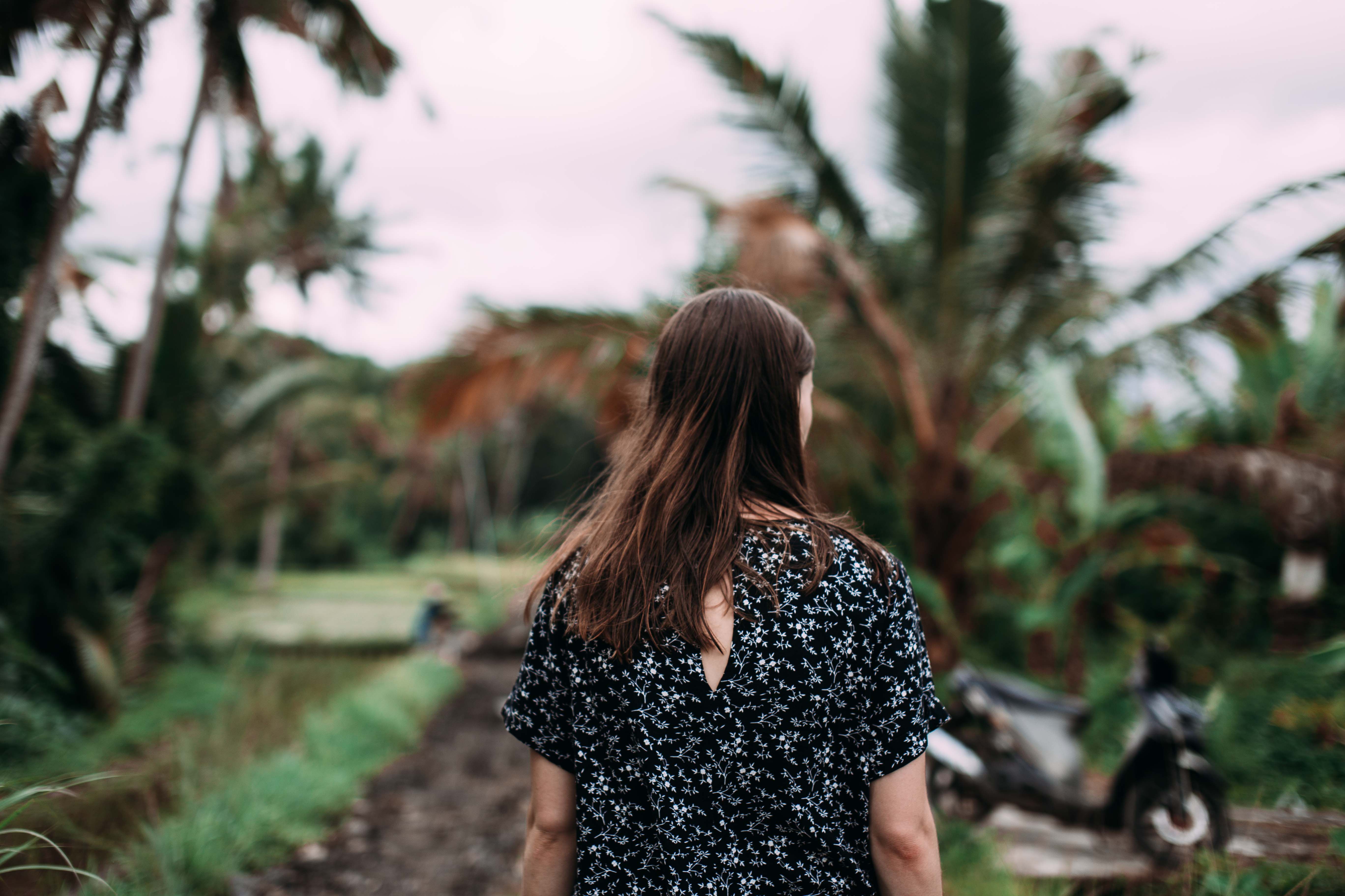 Back view of a woman walking along a tropical path with palm trees, showcasing a serene outdoor setting.