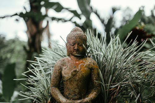 A Sculpture of a Thinking Buddha in a Garden · Free Stock Photo