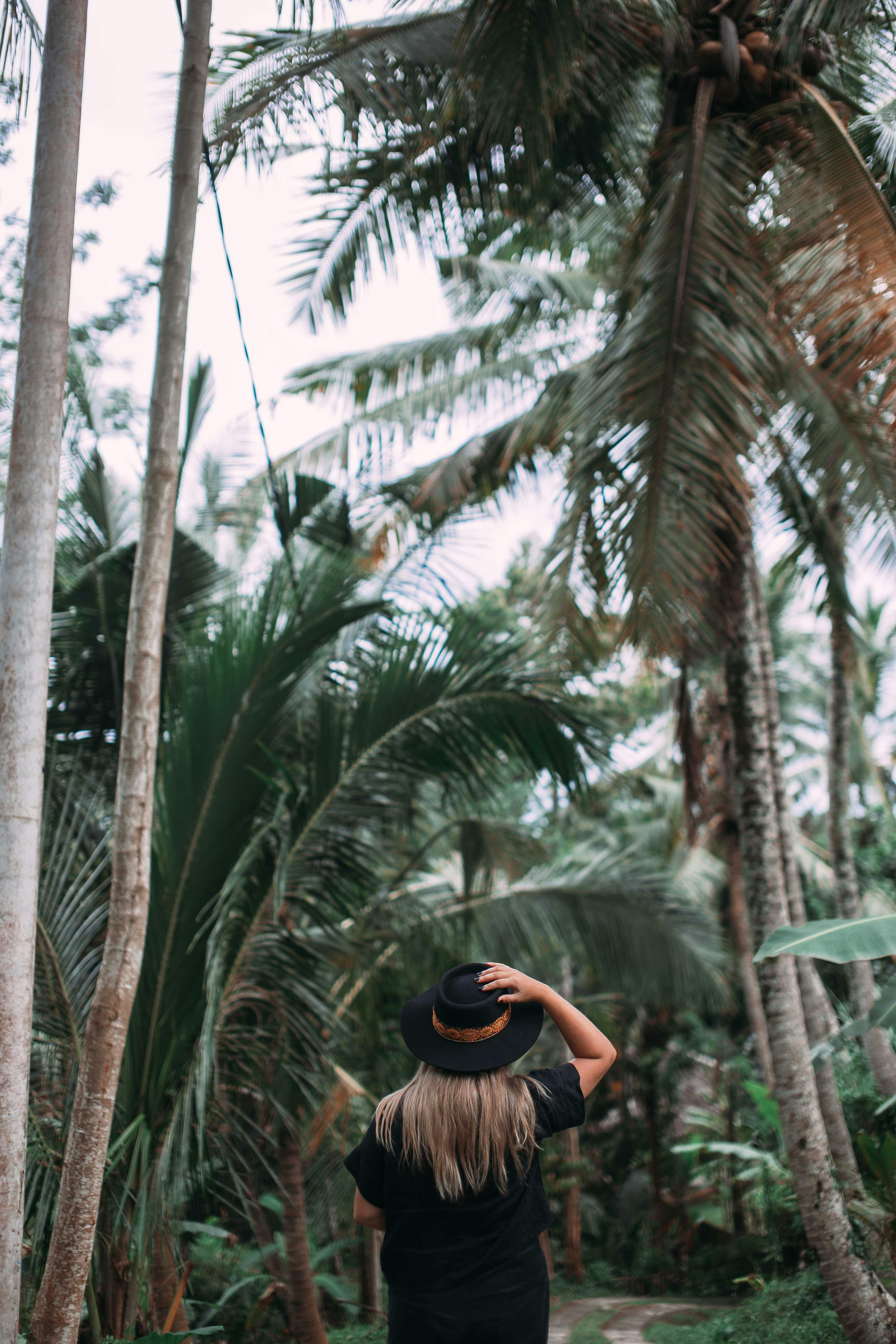 Woman stands amidst lush palm trees, embracing adventure and nature in a tropical forest.