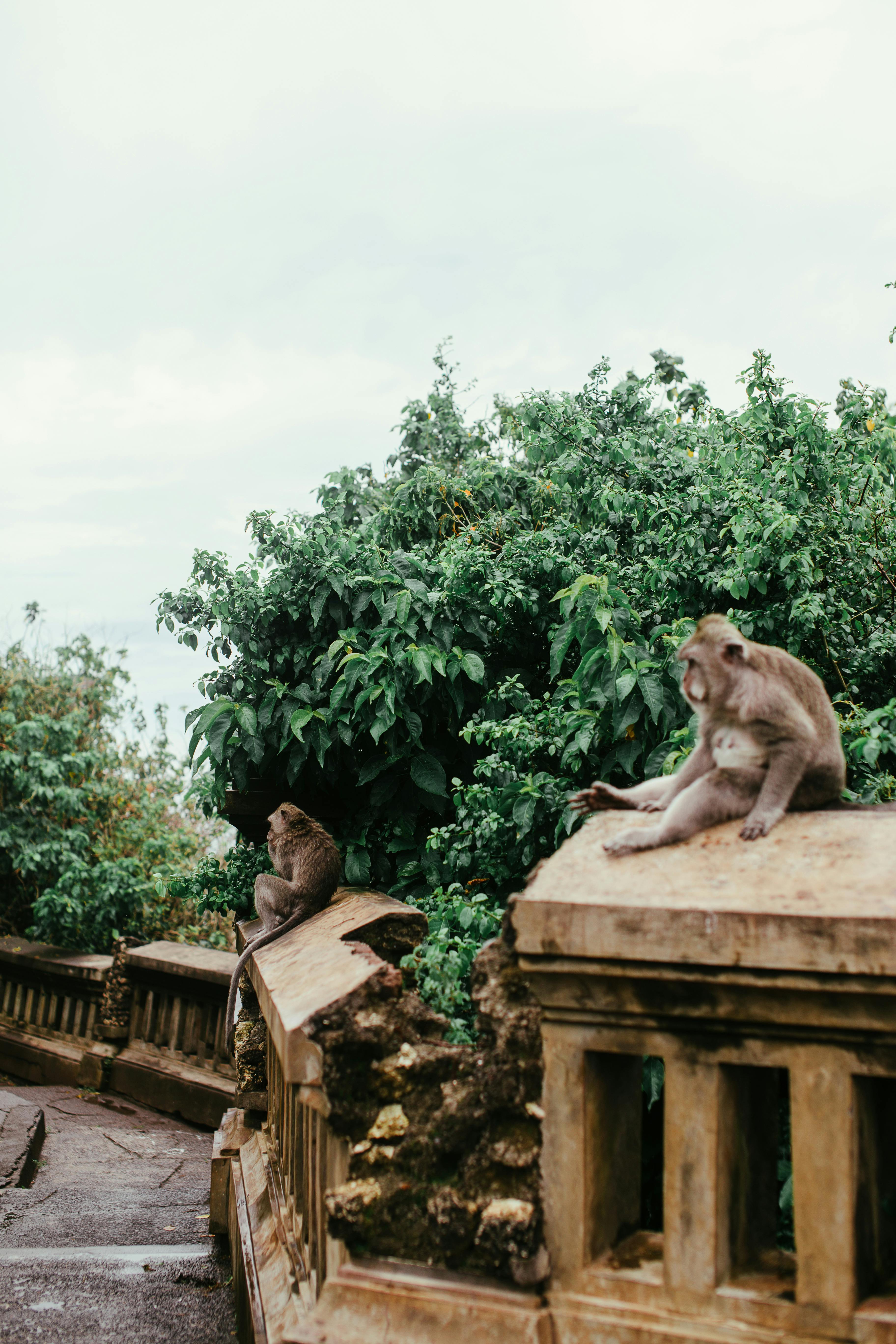 Photo by Rachel Claire