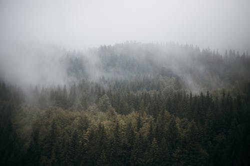 Gratis lagerfoto af bjerg, dis, landskab