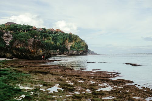 View of Cliff on Rock Mountain Covered with Trees