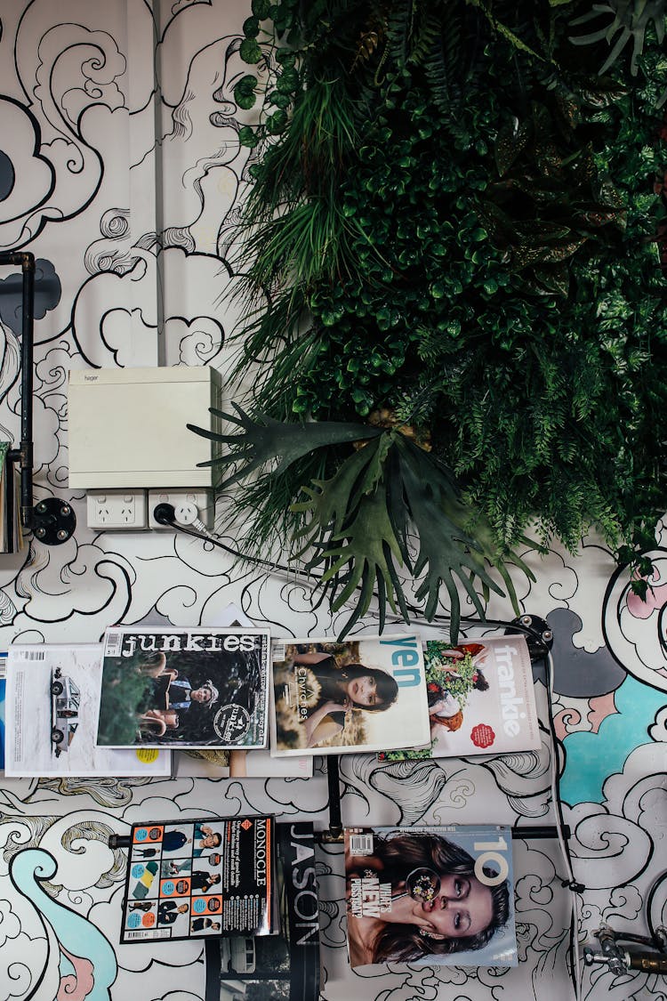 Magazines And Plant Garland Hanging On Wall With Patterned Wallpaper And Electrical Socket