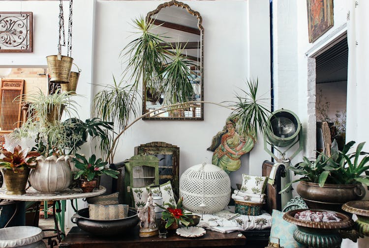 Interior With Antiques And Houseplants