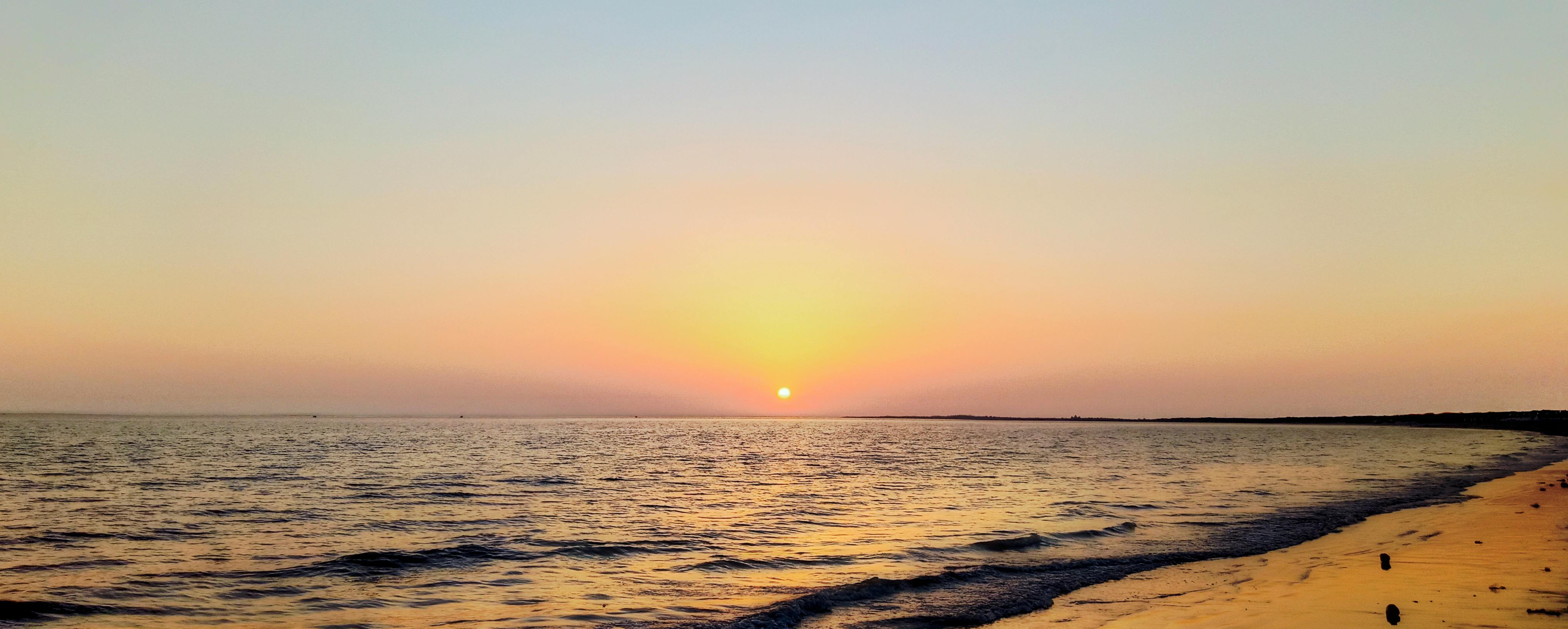 Close-up concept image of microchips and circuits suggesting advanced biotechnology