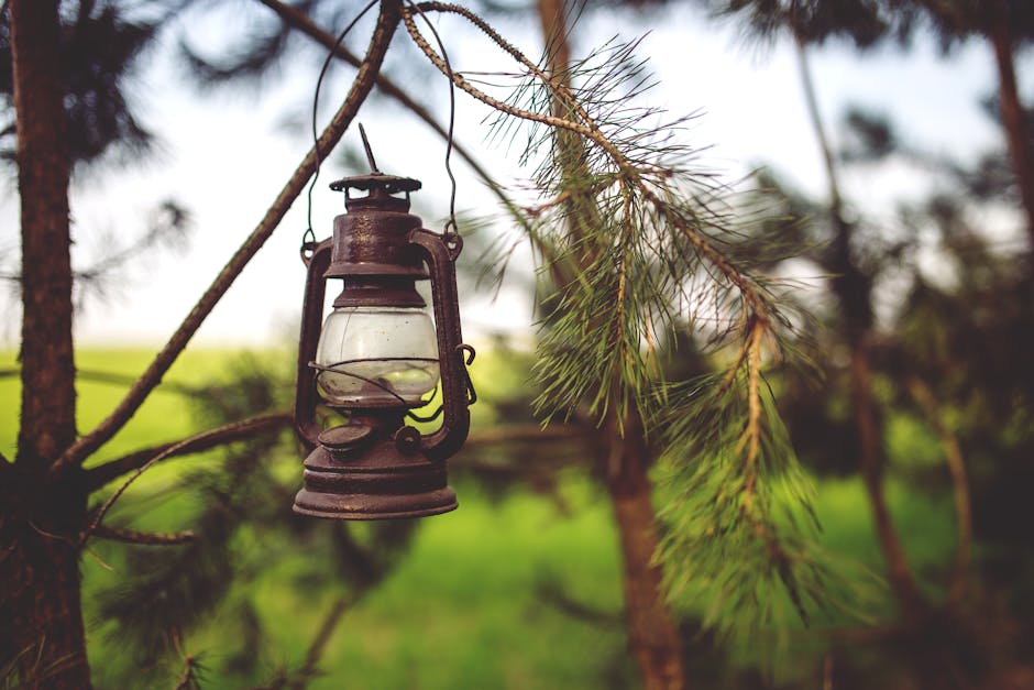 A rustic vintage lantern hanging on a pine tree branch in a green outdoor setting, evoking a nostalgic and serene atmosphere.