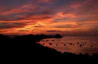 Silhouette of People on Beach during Sunset
