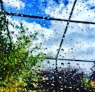 透过雨水覆盖的窗户，看到花园背景中模糊的雨滴