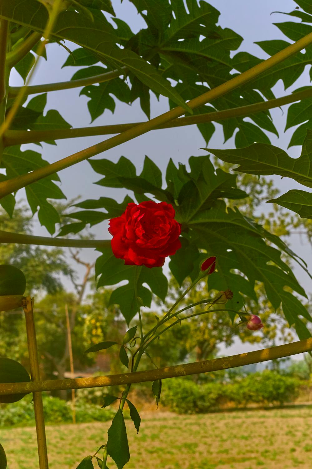 Token-Gated Concierge