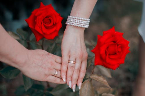 Free A Couple Wearing their Wedding Rings Stock Photo