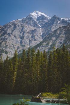 Scenic view of Mount Robson with lush forest and clear lake in Alberta, Canada.
