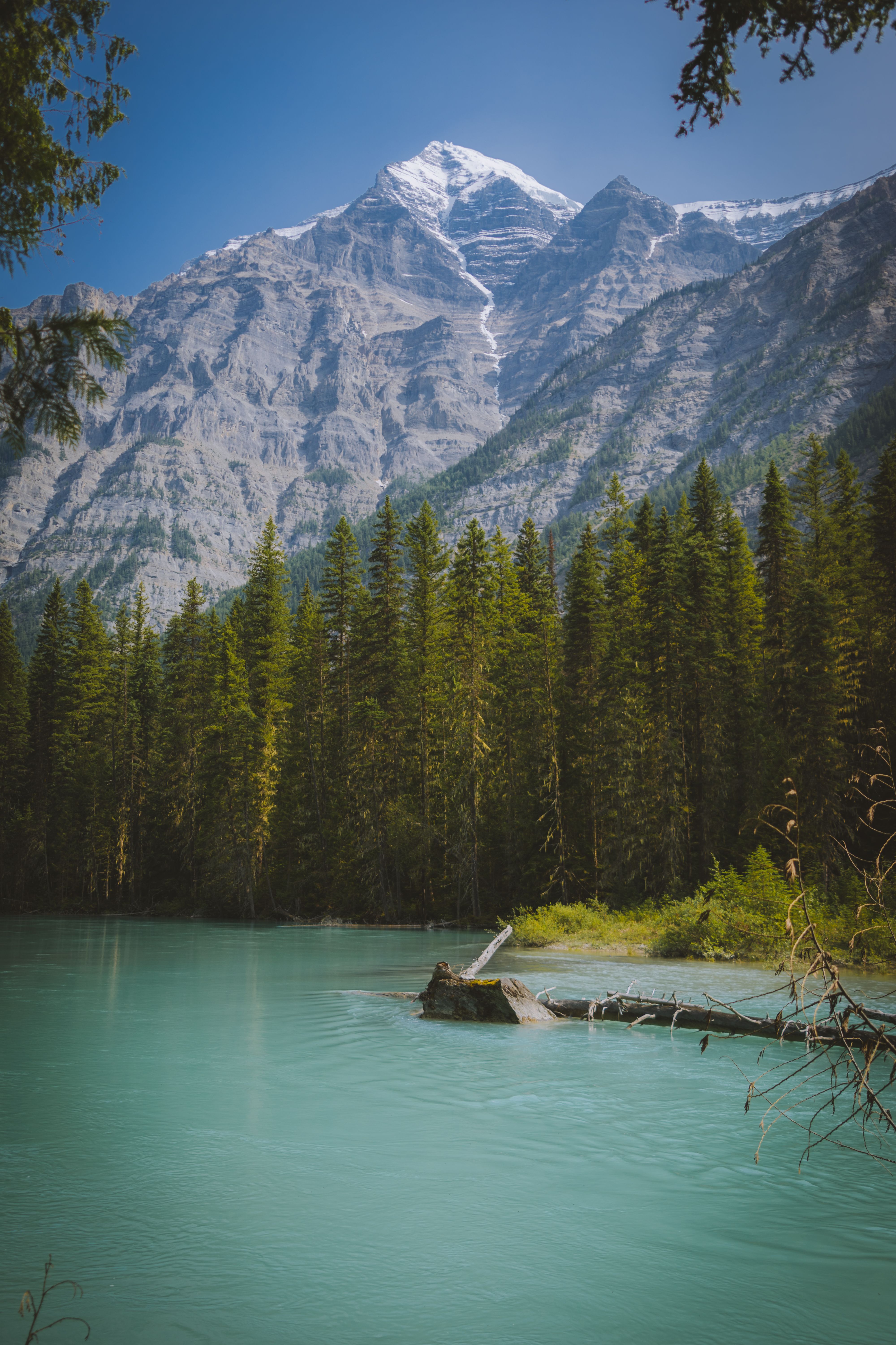 Stunning view of a turquoise lake and towering snow-capped mountain surrounded by lush pine trees in Canada.