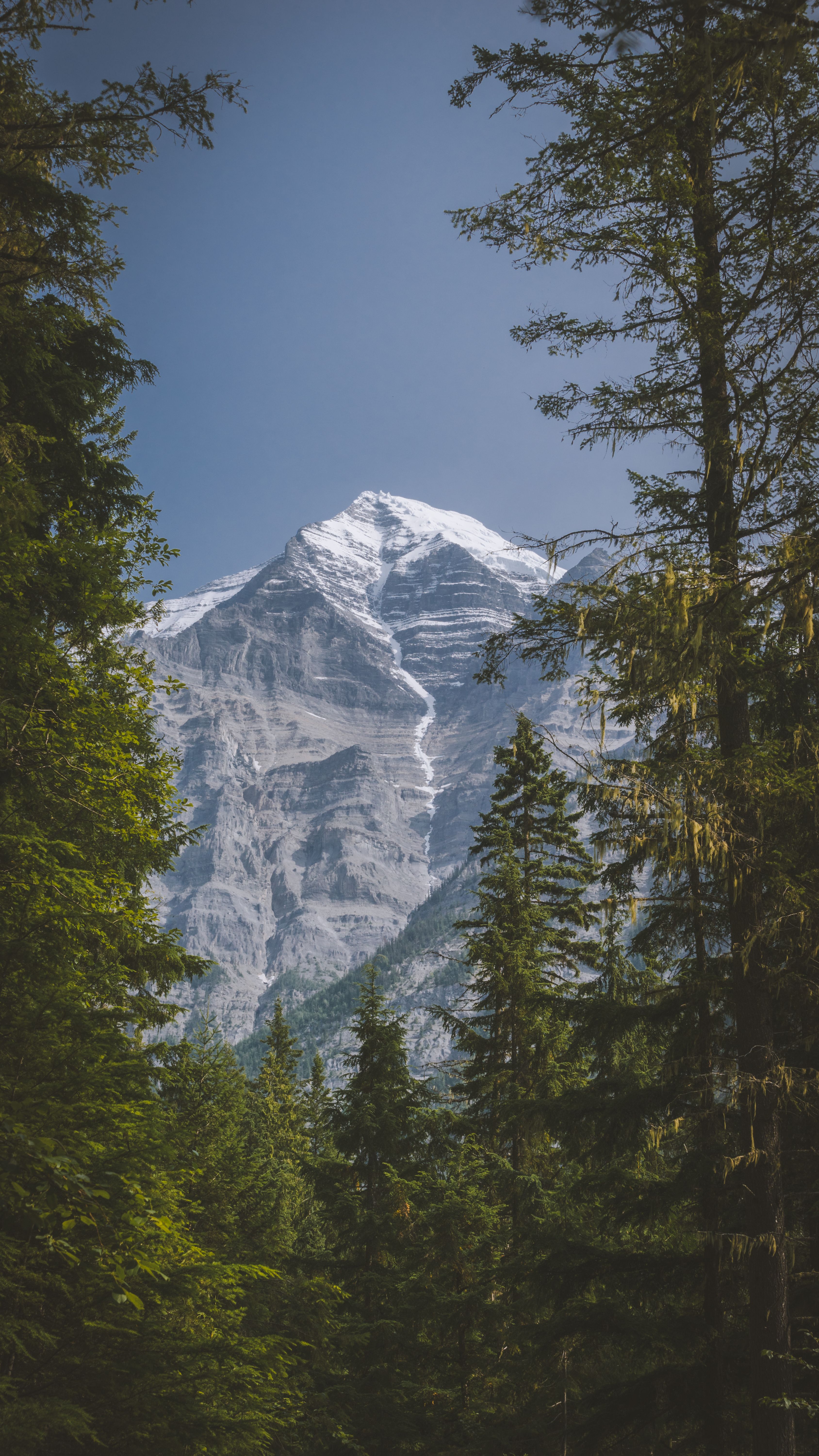 Stunning view of a snow-capped mountain surrounded by lush green trees in Alberta, Canada.