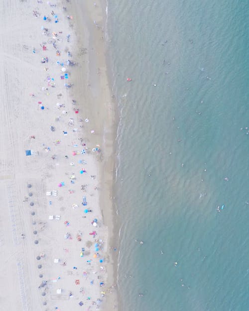 deniz, deniz kıyısı, insanlar içeren Ücretsiz stok fotoğraf