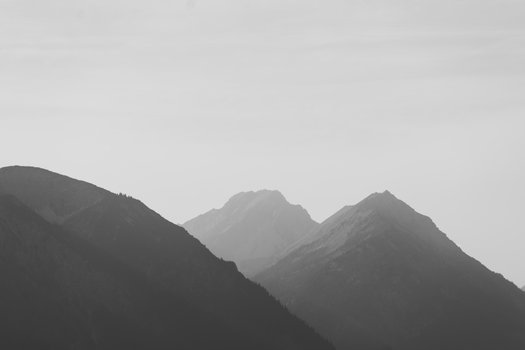 A serene black and white mountain range shrouded in soft fog, creating a tranquil ambiance.