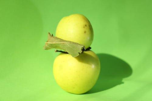 Free stock photo of apple, apples, green