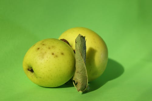 Gratis lagerfoto af æble, æbler, grøn