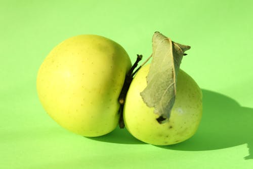 Free stock photo of apple, apples, green