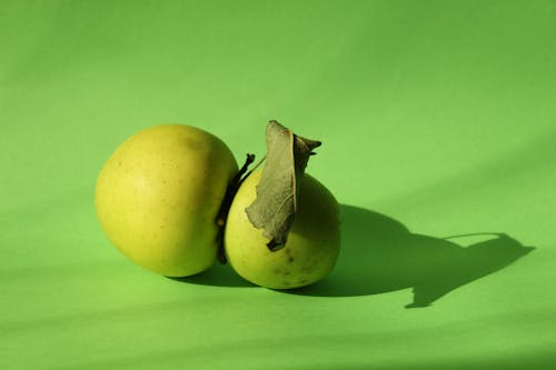 Free stock photo of apple, apples, green