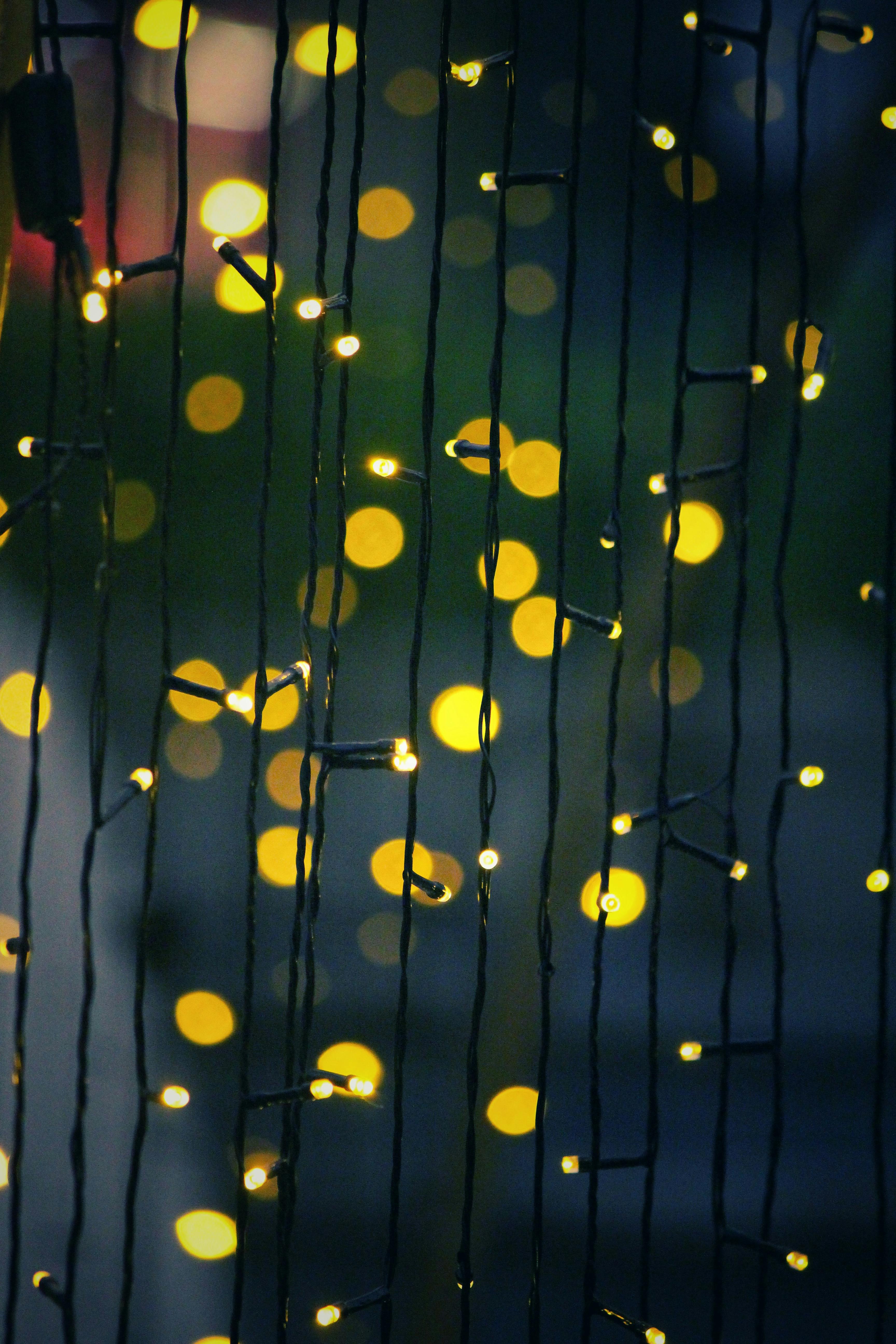 Colorful String Lights · Free Stock Photo