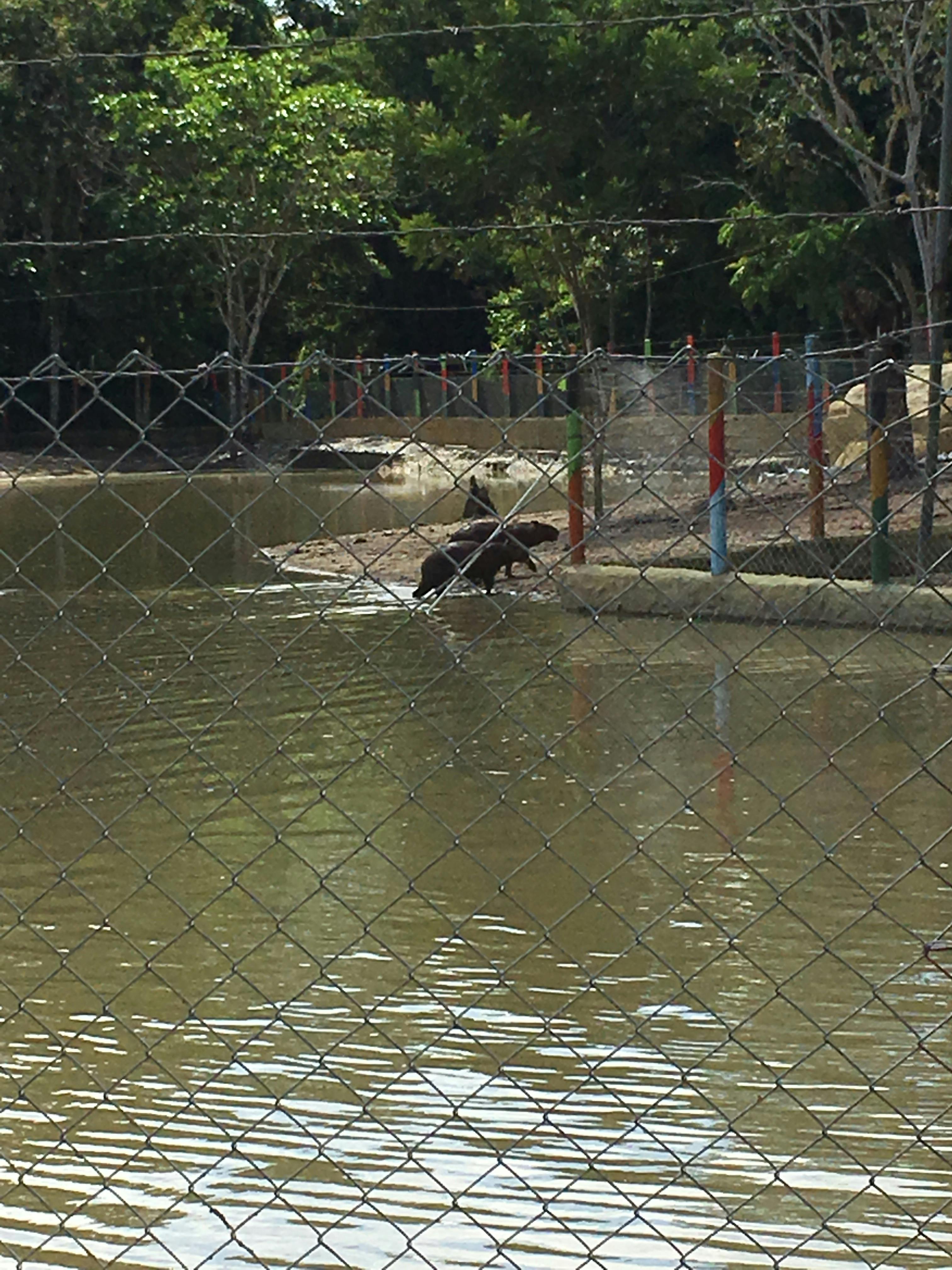 Multiple computer monitors showing climate models, satellite imagery, and data visualizations