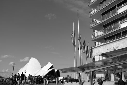 Darling Harbour seafood lunch — Sydney