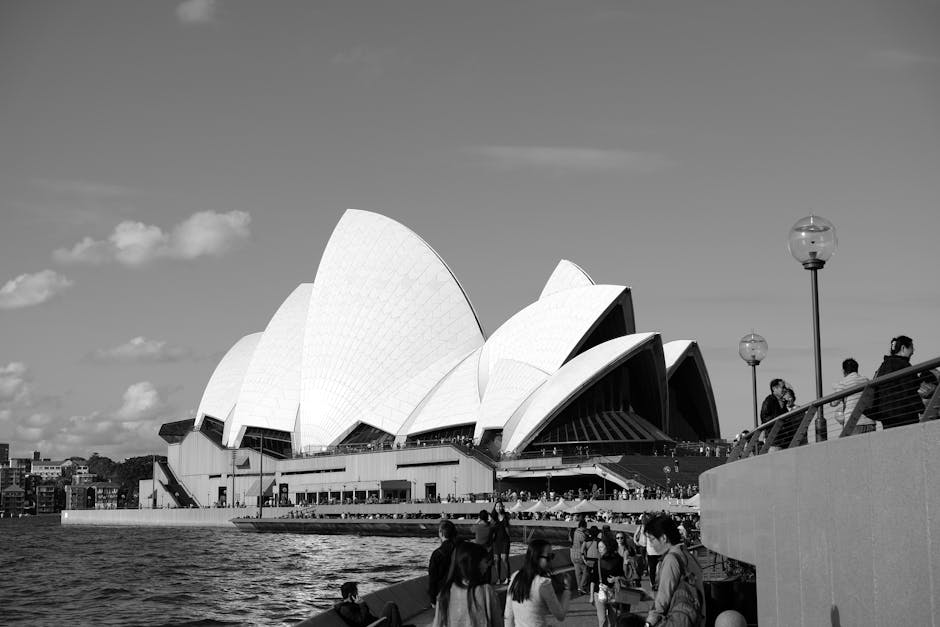 Car Rentals in Sydney Opera House for Easy City Exploration - Featured Image