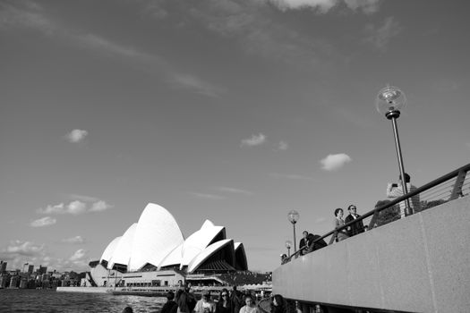 Darling Harbour seafood lunch — Sydney