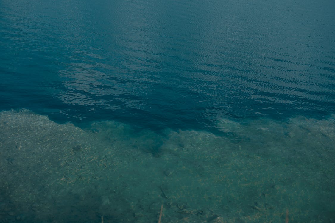 Безкоштовне стокове фото на тему «блакитна вода, впритул, море»