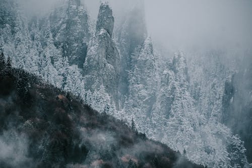 Drone view of amazing forest with snowy coniferous trees on dark mountain slope under gloomy sky in white clouds of mist in winter