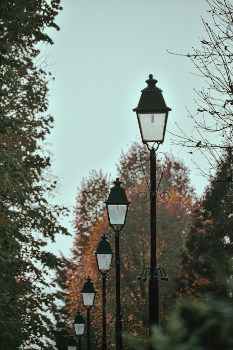 Streetlights Along Avenue In Autumn Park