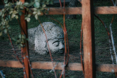 Weathered white stone statue of human head located on grassy ground behind wooden fence in park