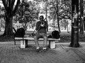Man Sitting on Bench Playing Guitar