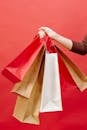 A Person Holding Shopping Bags