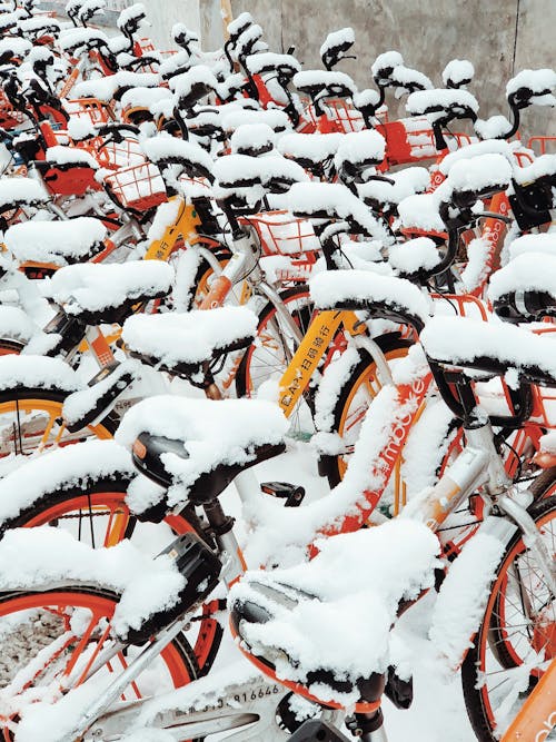 免费 下雪的天氣, 停, 冬季 的 免费素材图片 素材图片