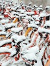 Snow Covered Bicycles on Parking Area
