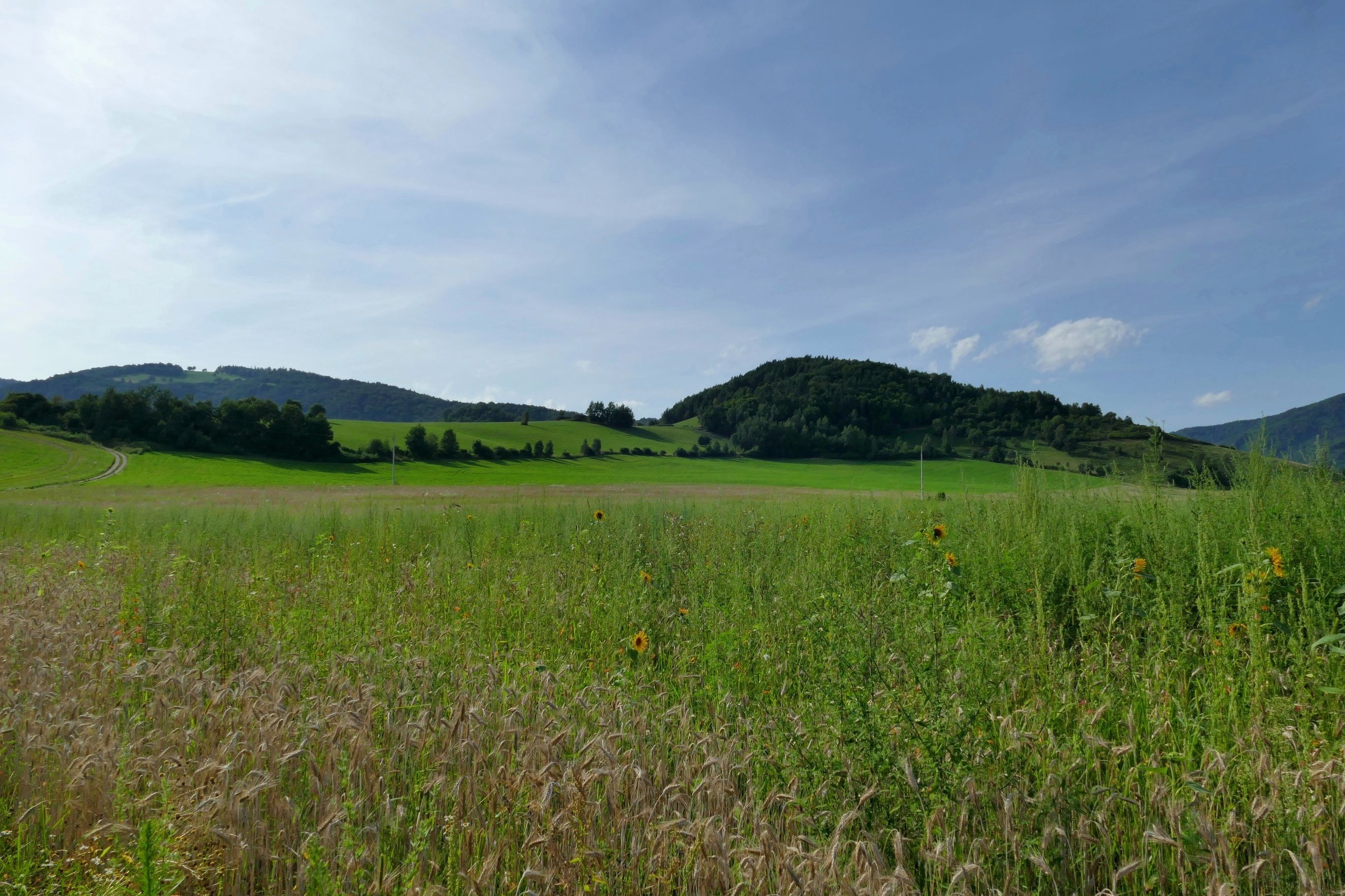 Naturlandschaft